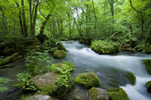 tkf003_958635