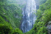 tkf003_963176