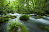 tkf003_966054