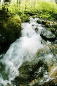 tkf003_986304