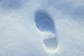 tkf003_986810