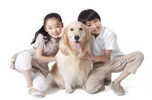 tkf003_990707