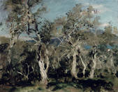 tkm001_192439
