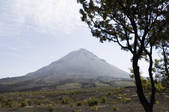 tkm001_475187