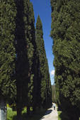 tkm001_480021