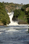 tkm001_480488