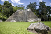 tkm001_482199