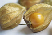tkm001_489118