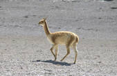 tkm001_490319