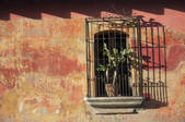 tkm001_495743