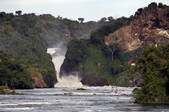 tkm001_496394