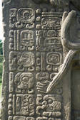 tkm001_498522