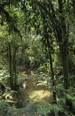 tkm001_501288