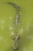 tkm001_515955
