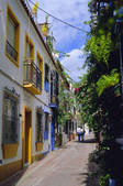 tkm001_527779