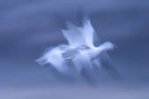 tkm001_530707