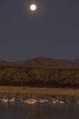 tkm001_539820