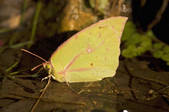 tkm001_539855