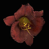 tkm001_540042