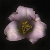 tkm001_540047