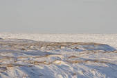 tkm001_540650