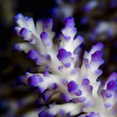 tkm001_541737