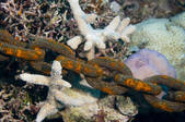 tkm001_541740