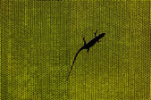tkm001_543463