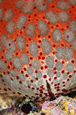 tkm001_544789