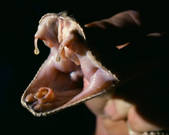 tkm001_545521