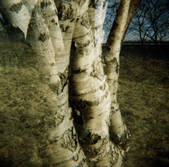 tkm001_590524