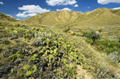 tkm001_594940