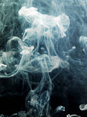 tkm001_600735