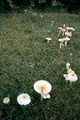 tkm001_604627