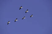 tkm001_605012
