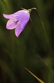 tkm001_608512