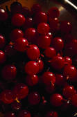 tkm001_628095