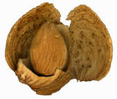tkm001_680868