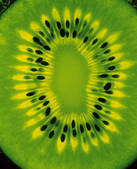 tkm001_684740