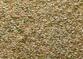 tkm001_685160