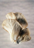 tkm001_690649