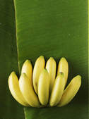 tkm001_695468