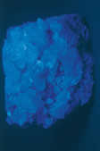 tkm001_767362