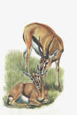 tkm001_768161
