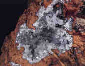 tkm001_768509