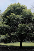 tkm001_768802