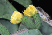 tkm001_770249