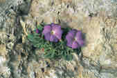 tkm001_770356