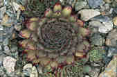 tkm001_770404