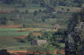 tkm001_772685